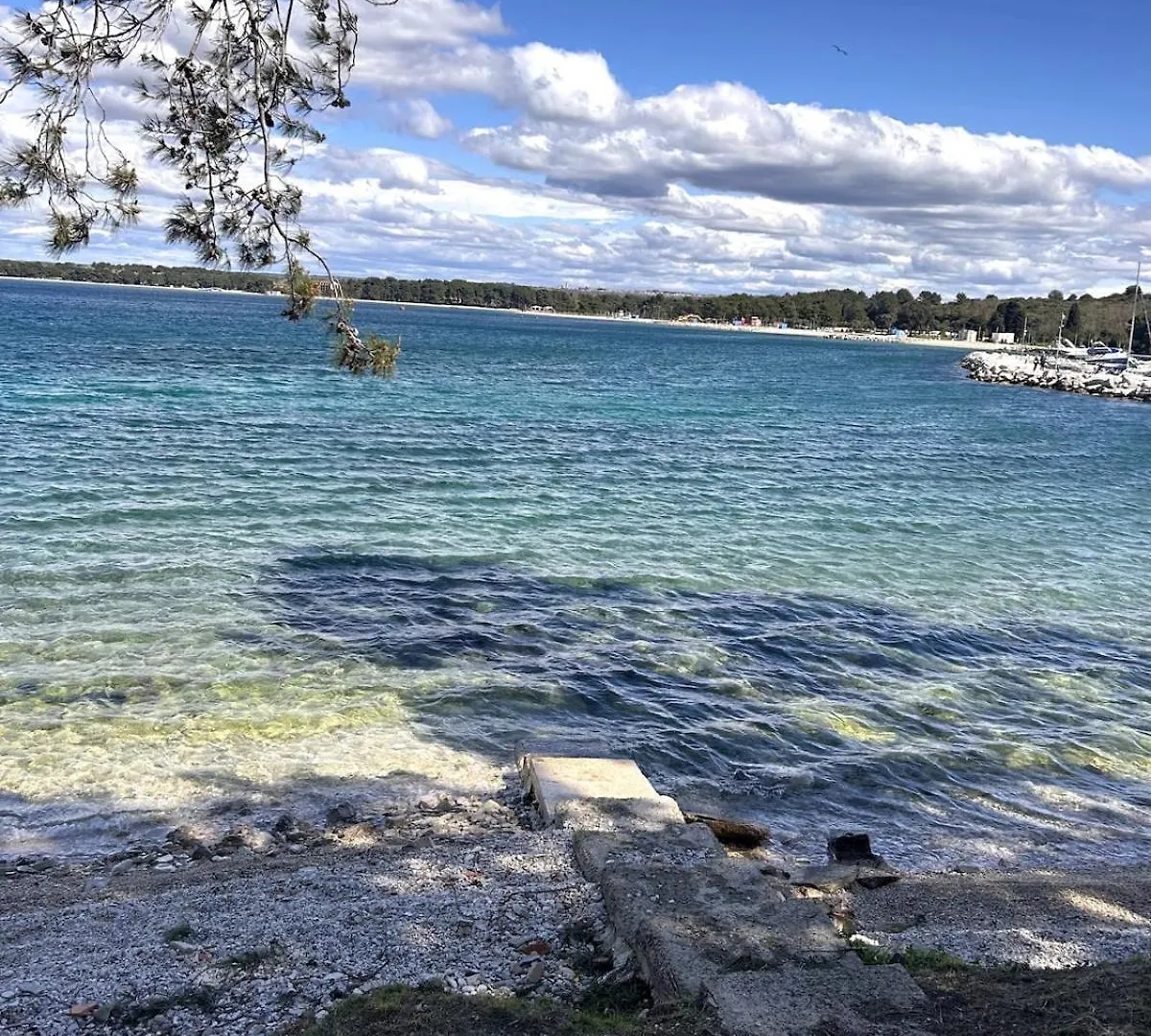 Apartment Eleonora Mare プーラ